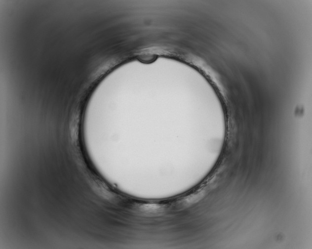 X0000102370153200808291257