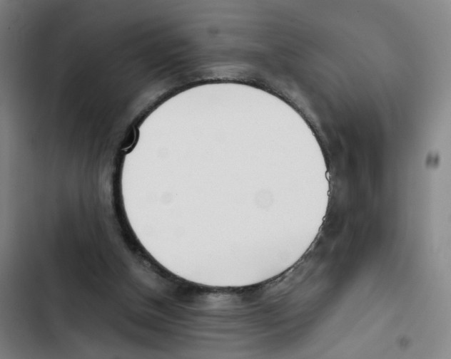 X0000102370154200808291257