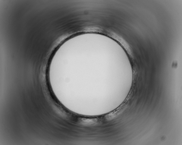 X0000102370155200808291257