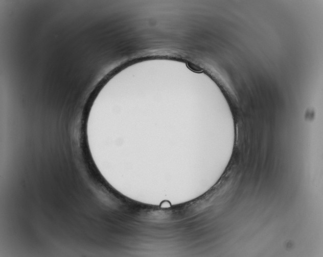 X0000102370156200808291257