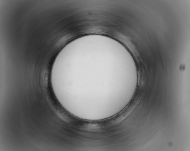 X0000102370157200808291257