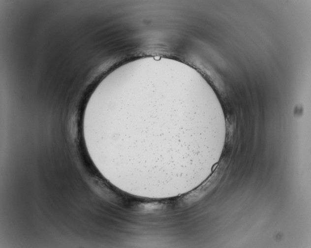 X0000102370158200808291257