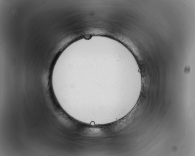 X0000102370159200808291257