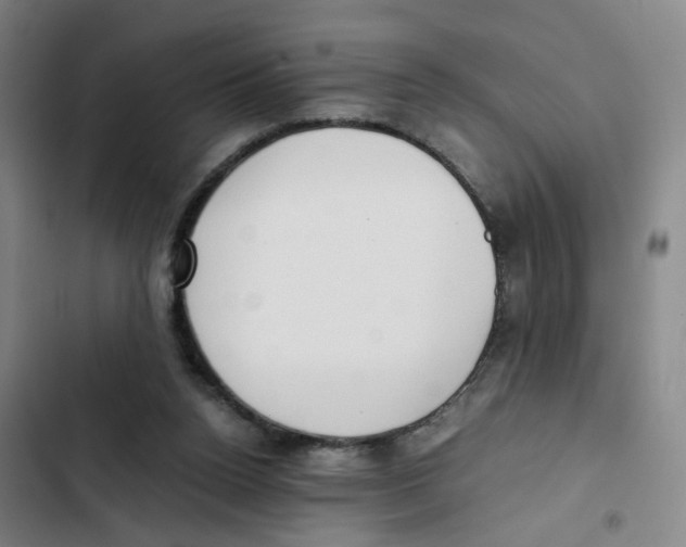 X0000102370160200808291257