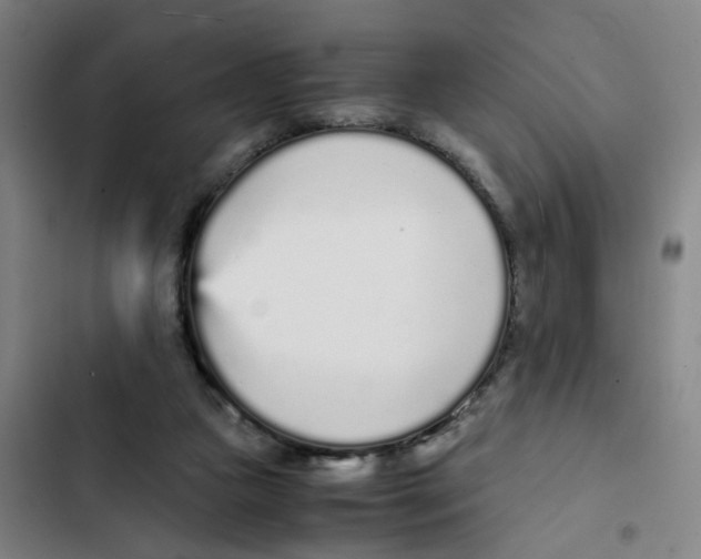 X0000102370161200808291257