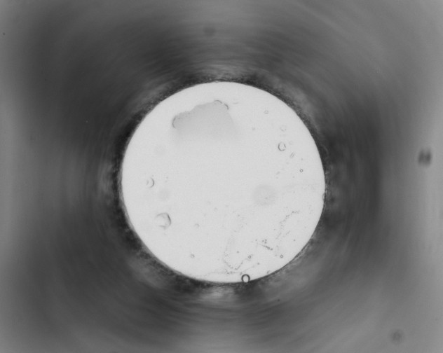 X0000102370162200808291257
