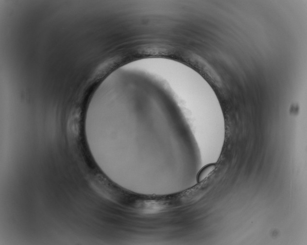 X0000102370163200808291257