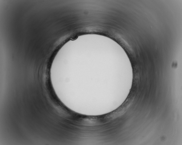 X0000102370164200808291257