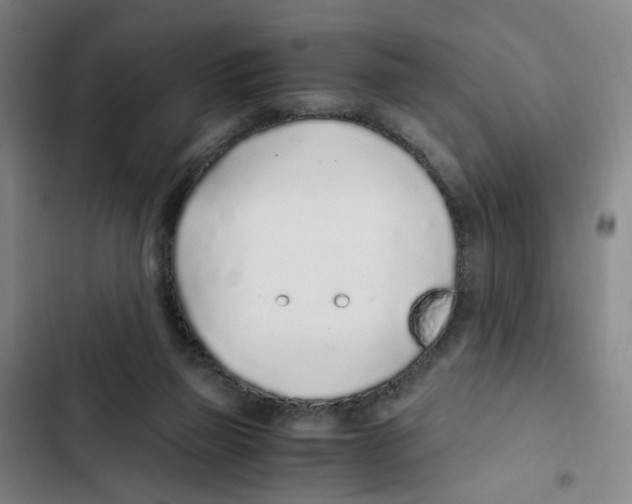 X0000102370165200808291257