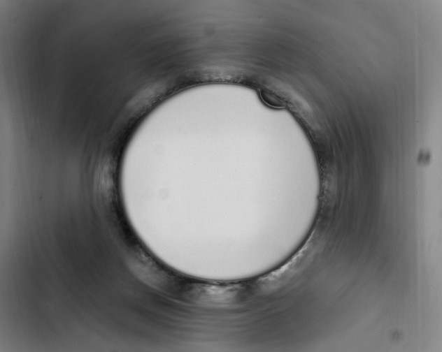 X0000102370166200808291257