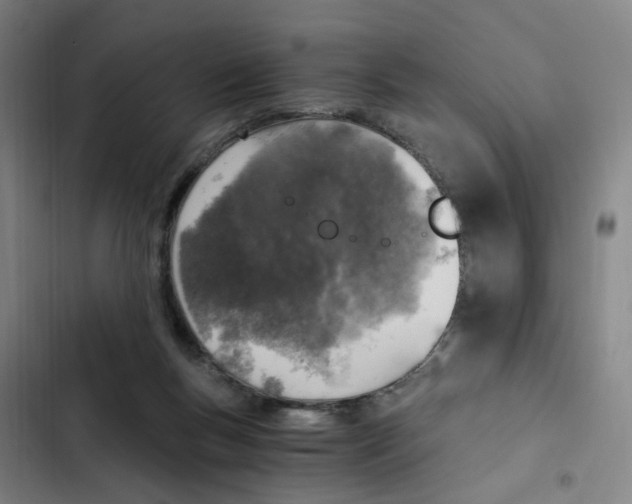 X0000102370167200808291257