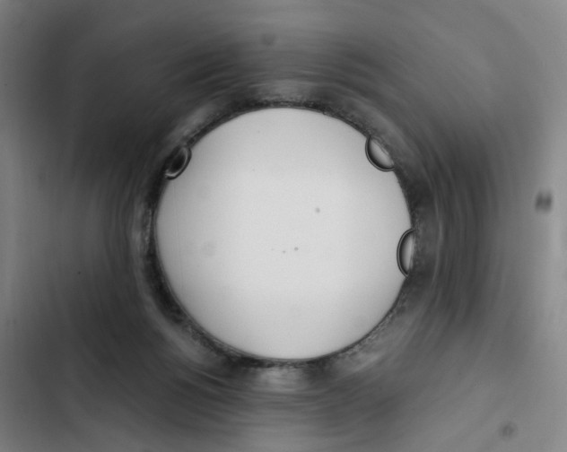 X0000102370168200808291257
