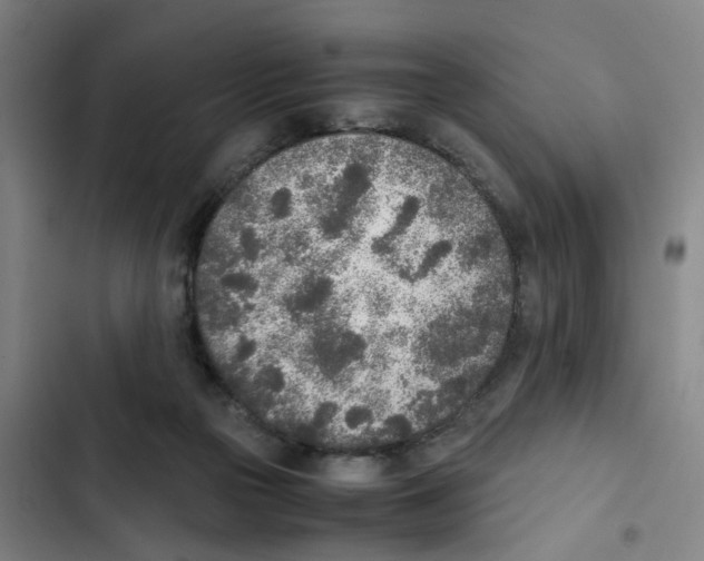 X0000102370169200808291257