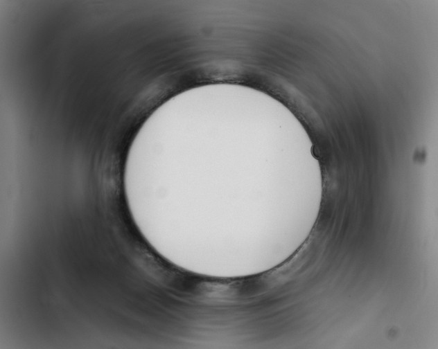 X0000102370170200808291257