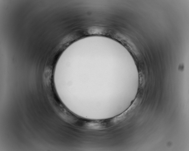 X0000102370171200808291257