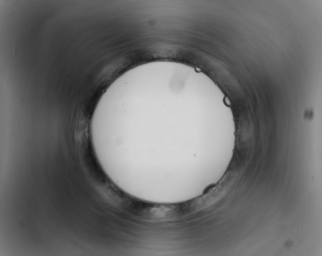 X0000102370172200808291258