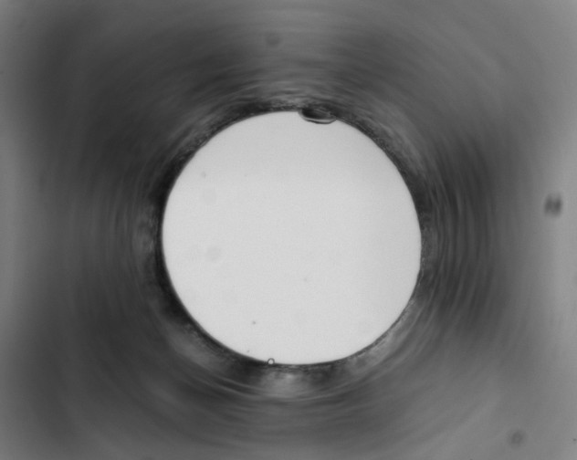 X0000102370174200808291258
