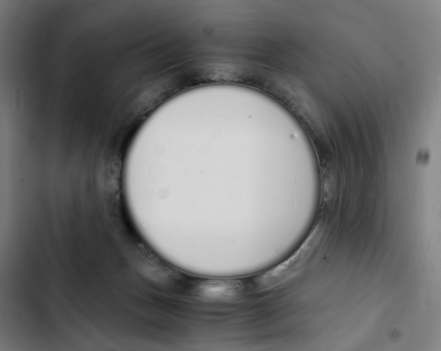 X0000102370175200808291258