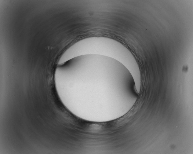 X0000102370176200808291258