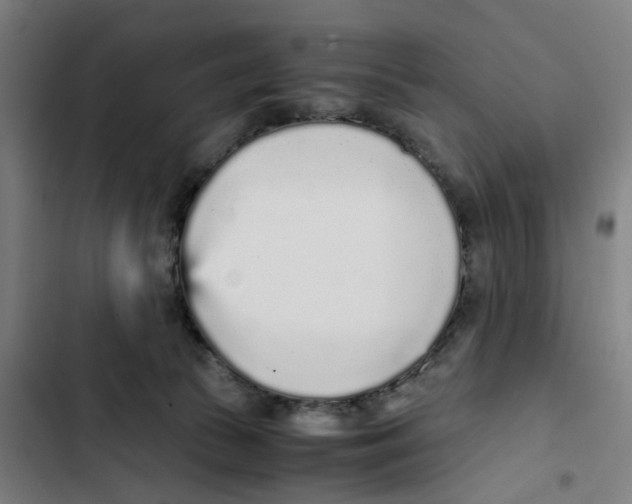 X0000102370177200808291258