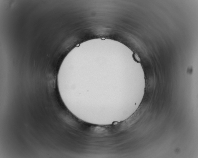 X0000102370180200808291258