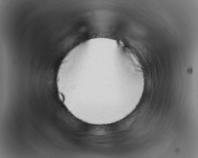 X0000102370181200808291258