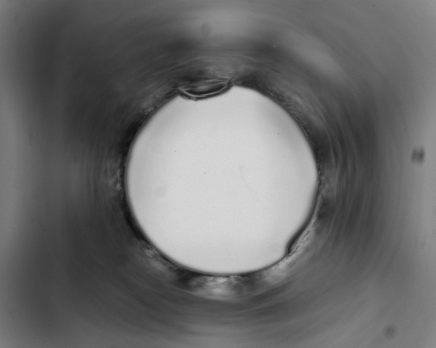 X0000102370182200808291258