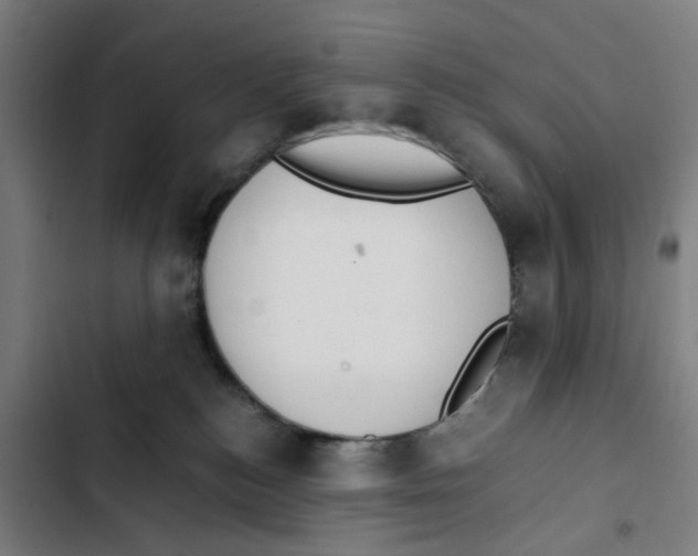 X0000102370184200808291258