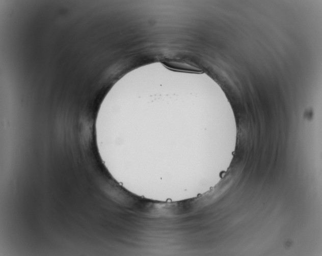 X0000102370188200808291258