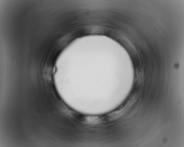 X0000102370189200808291258