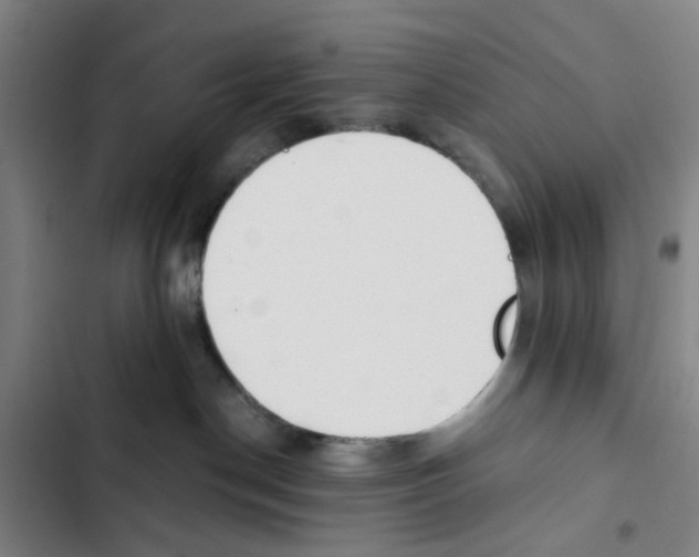 X0000102370190200808291258