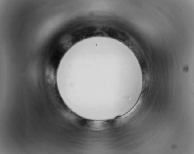 X0000102370191200808291258