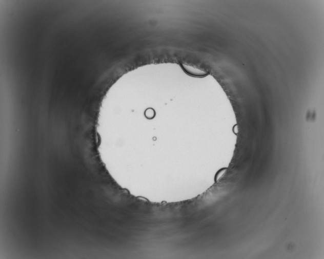 X0000102370192200808291258