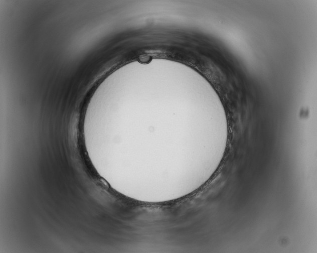 X0000102370194200808291257