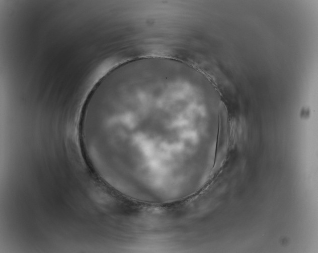 X0000102370195200808291257