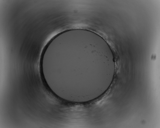 X0000102370196200808291257