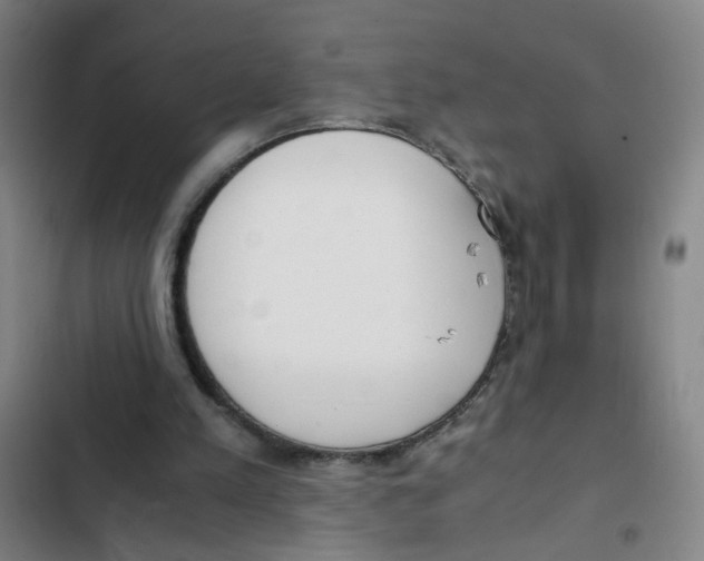 X0000102370197200808291257