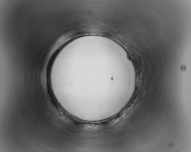 X0000102370198200808291257