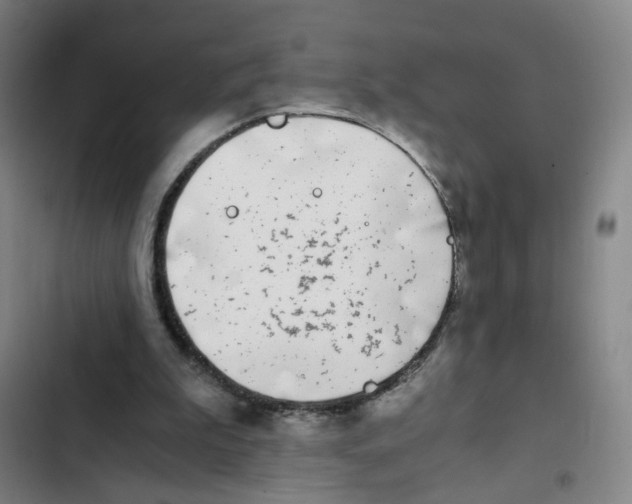X0000102370199200808291257
