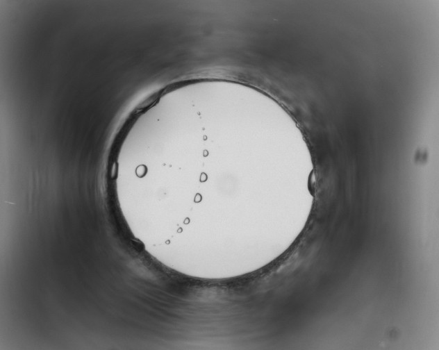 X0000102370200200808291257