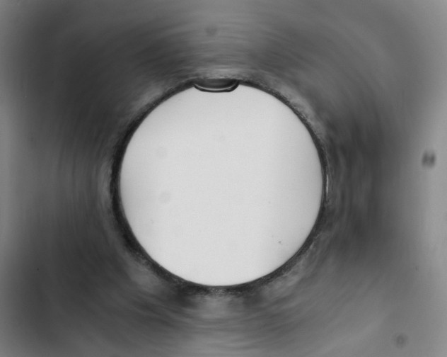 X0000102370201200808291257
