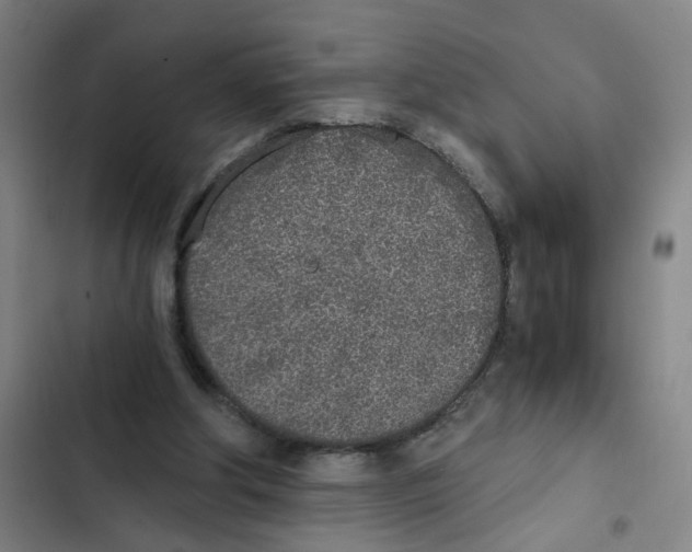 X0000102370202200808291257