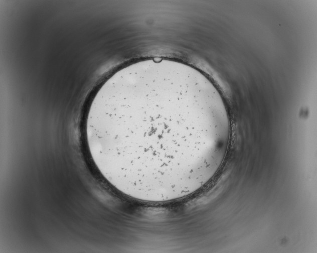 X0000102370203200808291257