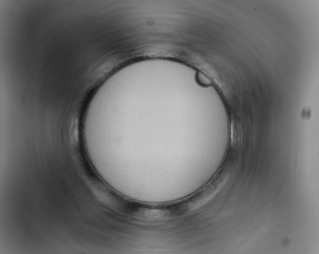 X0000102370205200808291257