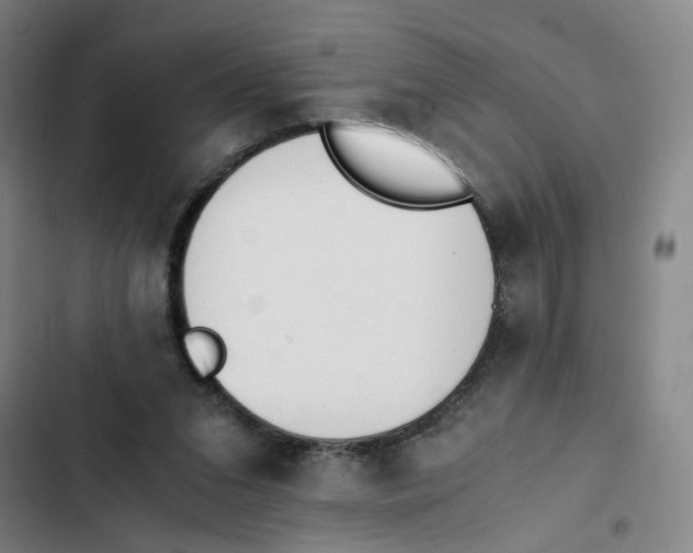 X0000102370207200808291257