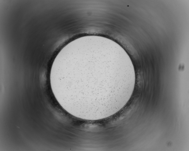 X0000102370208200808291257