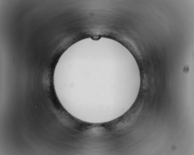 X0000102370210200808291257