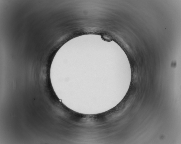 X0000102370211200808291257