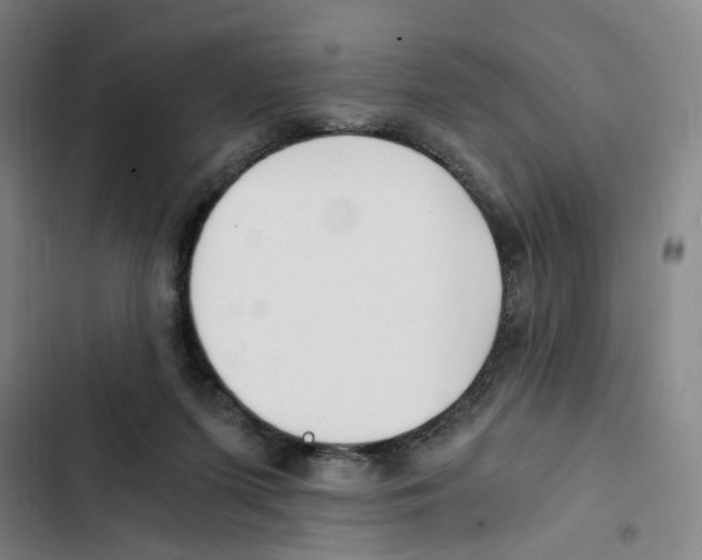 X0000102370215200808291257