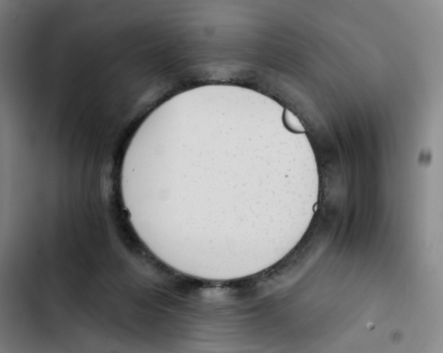 X0000102370216200808291257